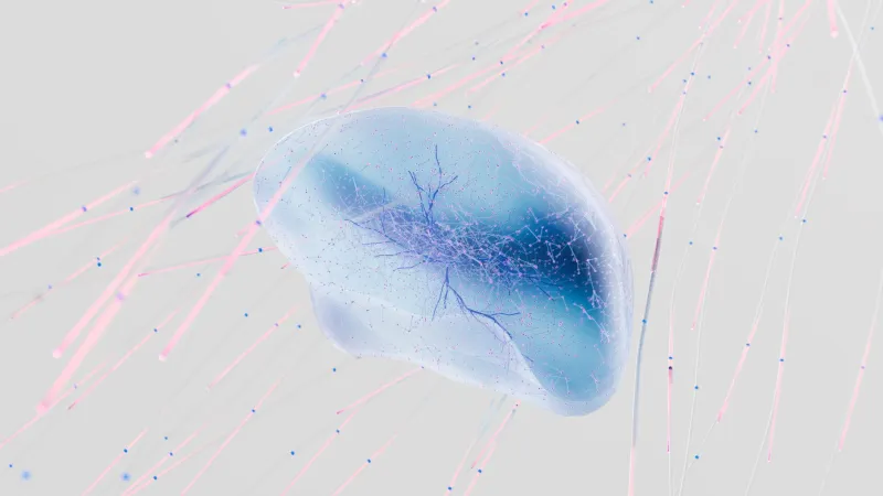Songs Your Brain Wrote Without You: The Neuroscience of Melodies That Never Played